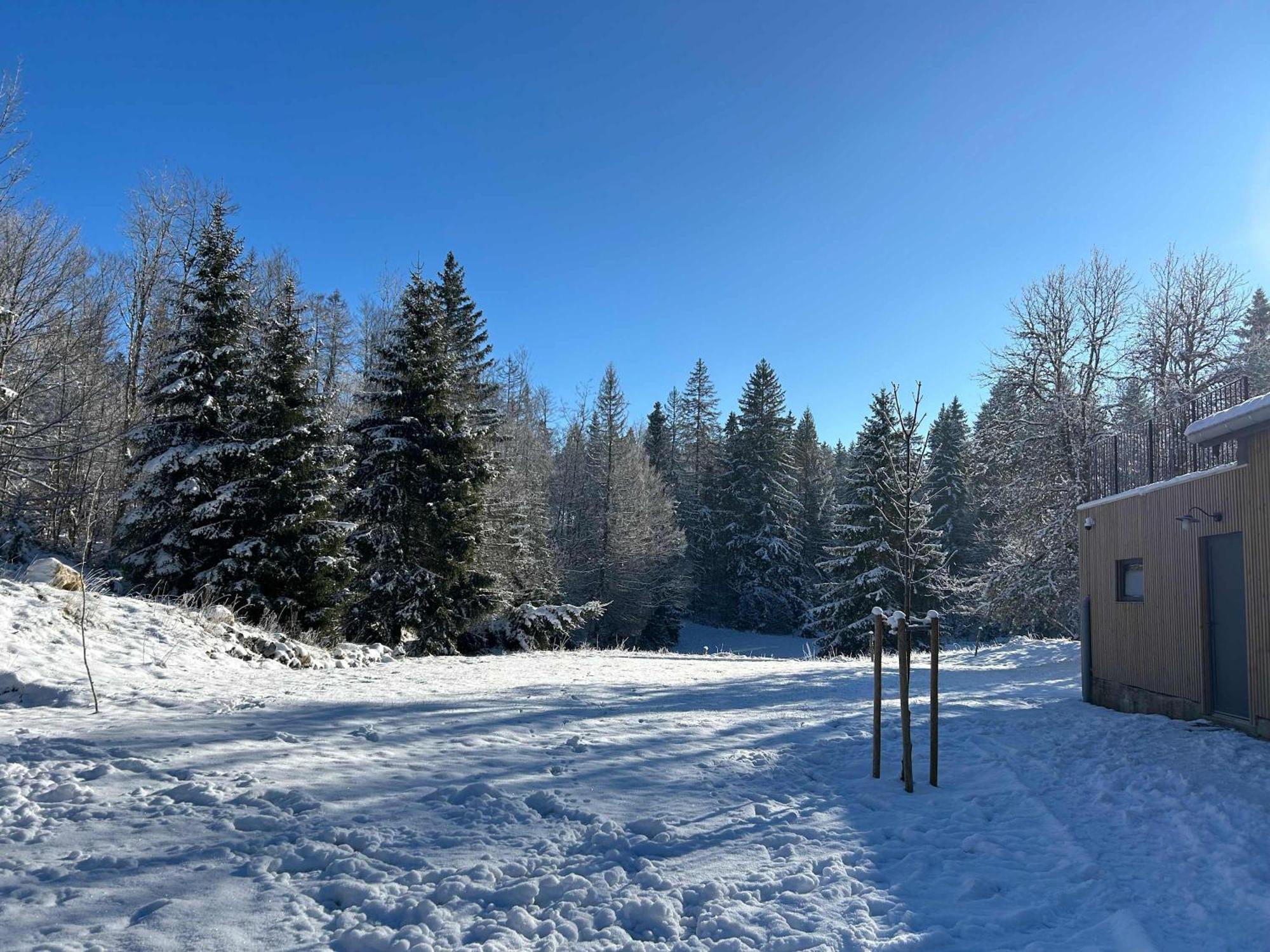 Gite De Prestige En Pleine Nature Prémanon Exterior foto